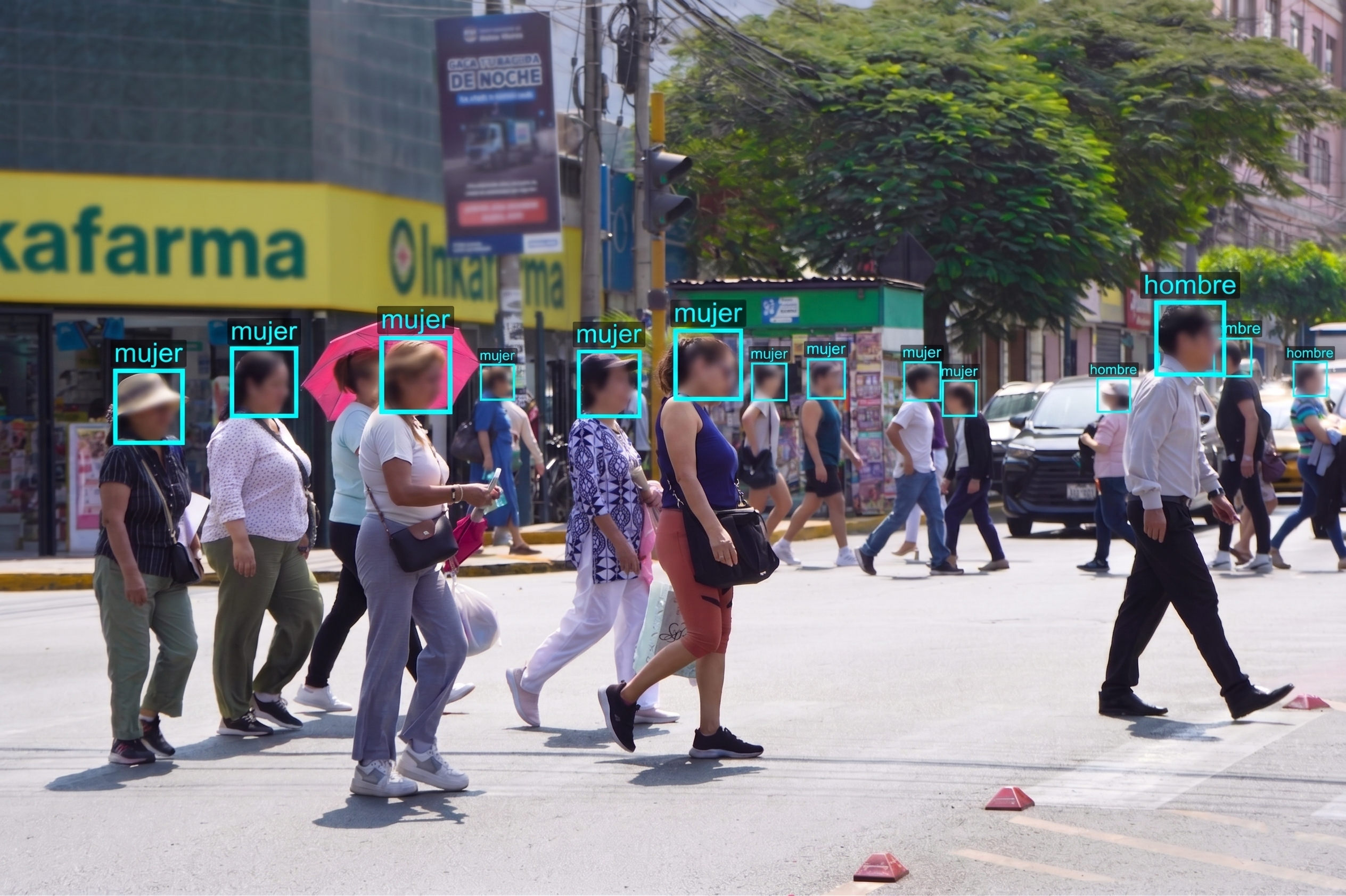 Seguridad Integral y Gestión de Riesgos